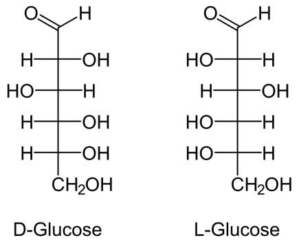 d and l glucose 
