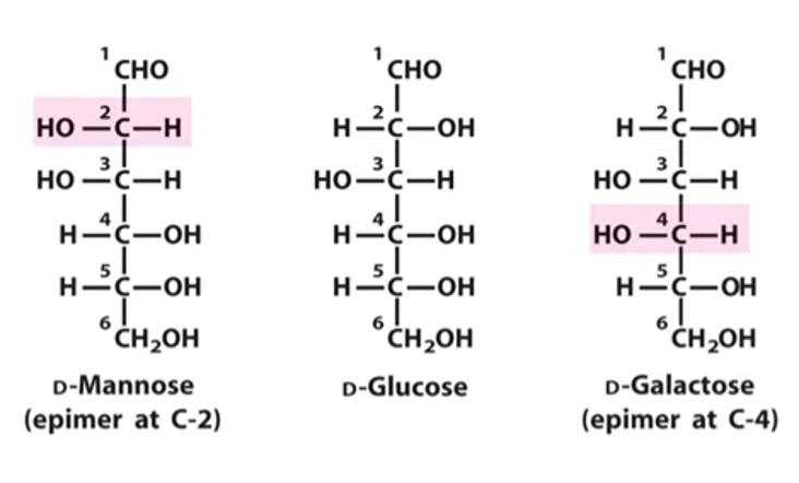 glucose epimers